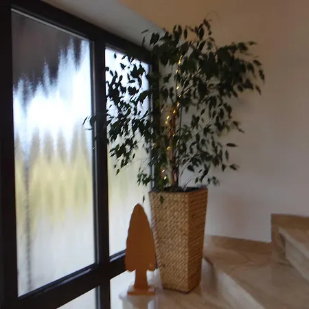 4****ferienwohnung Haus Naturblick Apartment *